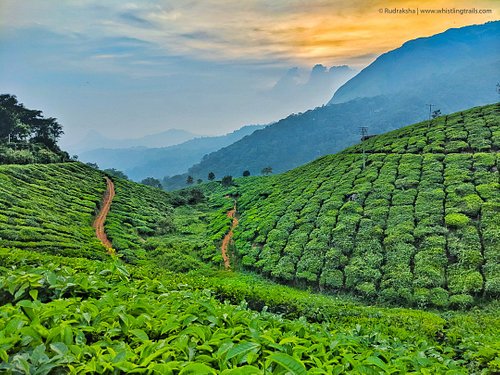 Marvellous Kerala
