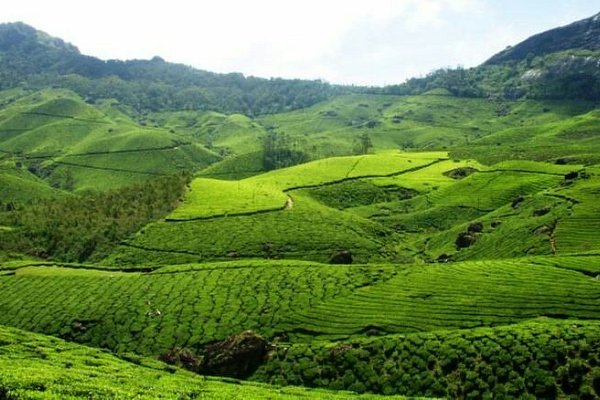 Classic Kerala