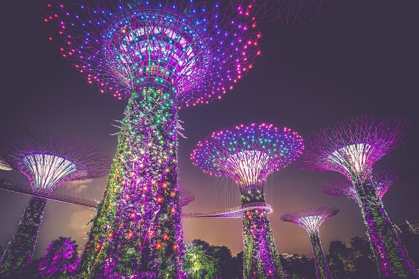 Economical Singapore Package